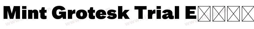 Mint Grotesk Trial E字体转换